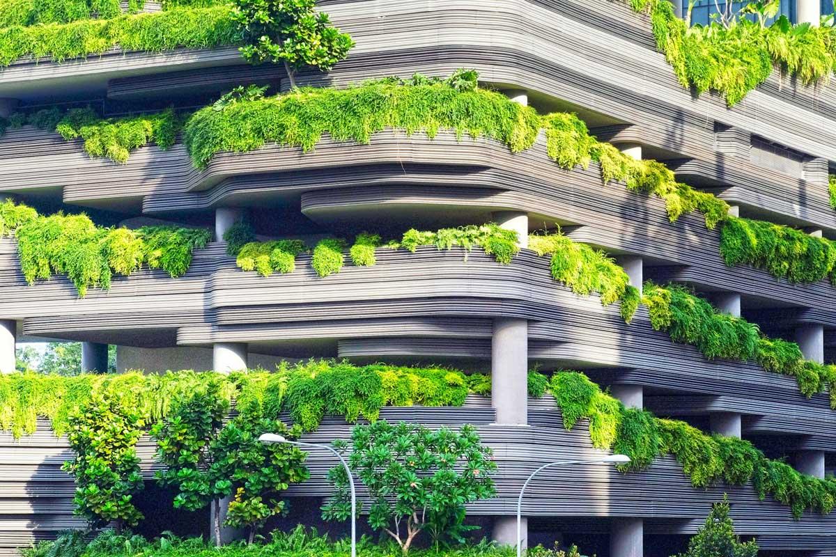Green Building Industry Sees Rapid Growth in State