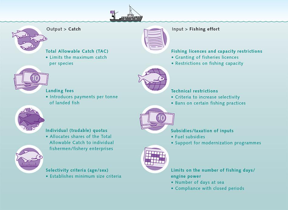 Fishing Industry Shifts Strategies Amid Rising Ocean Temperatures
