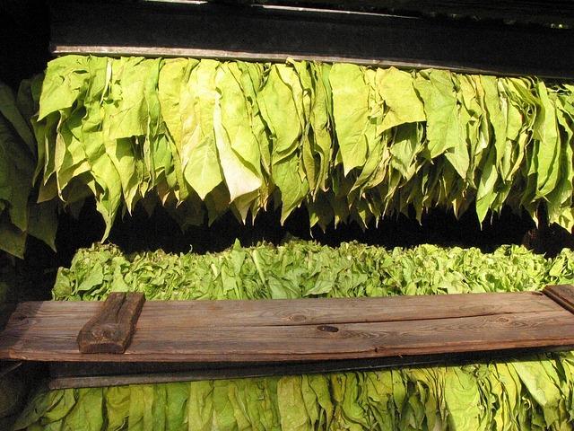 Lawmakers Push Tobacco Ban for Residents Born After 2007