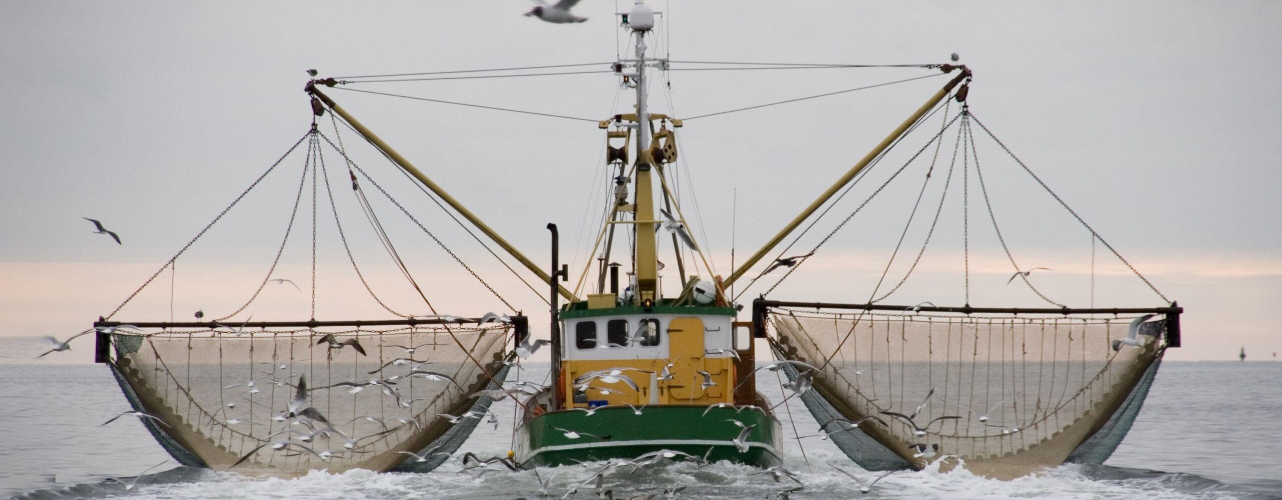 Commercial Fishing Industry Faces Growing Economic Challenges