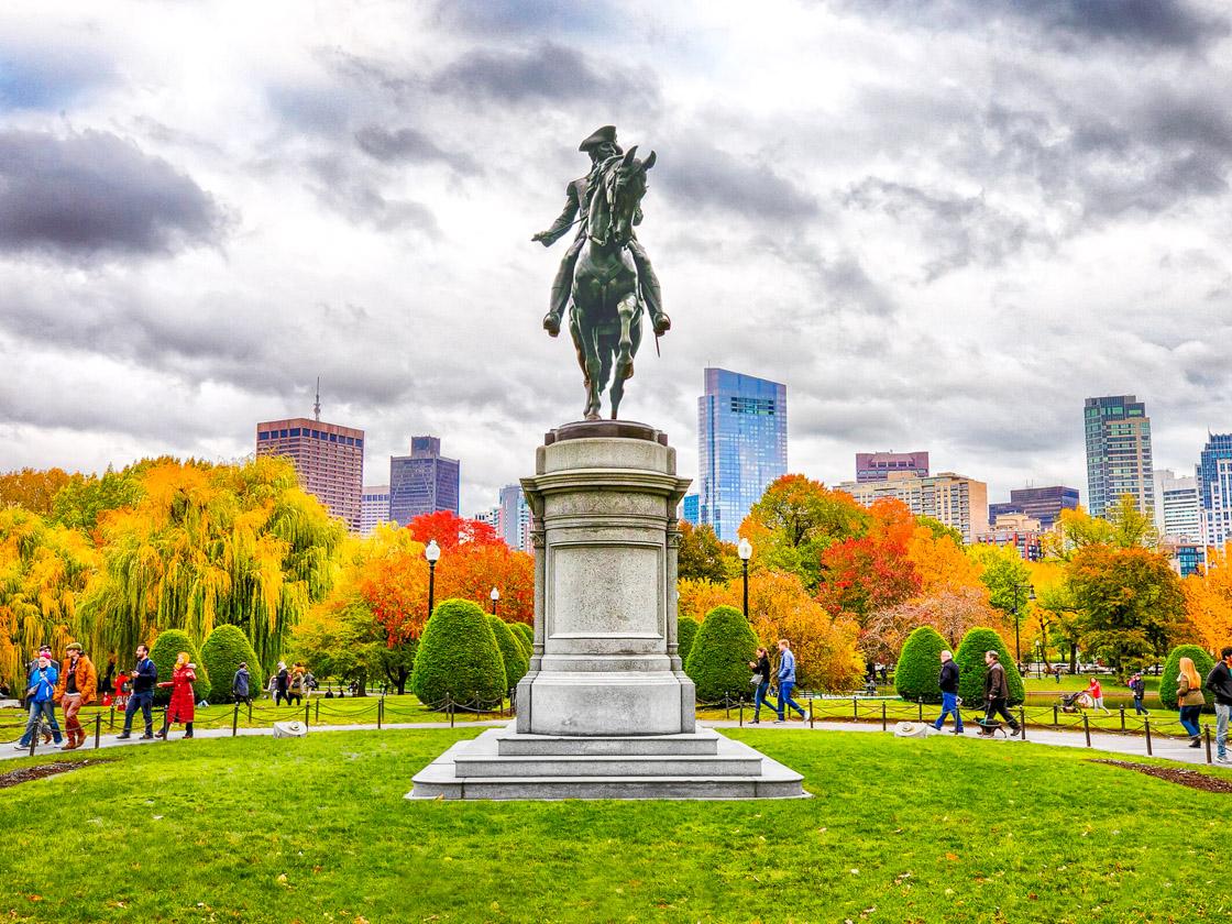 Massachusetts Public Garden Tours and Flower Shows Bloom