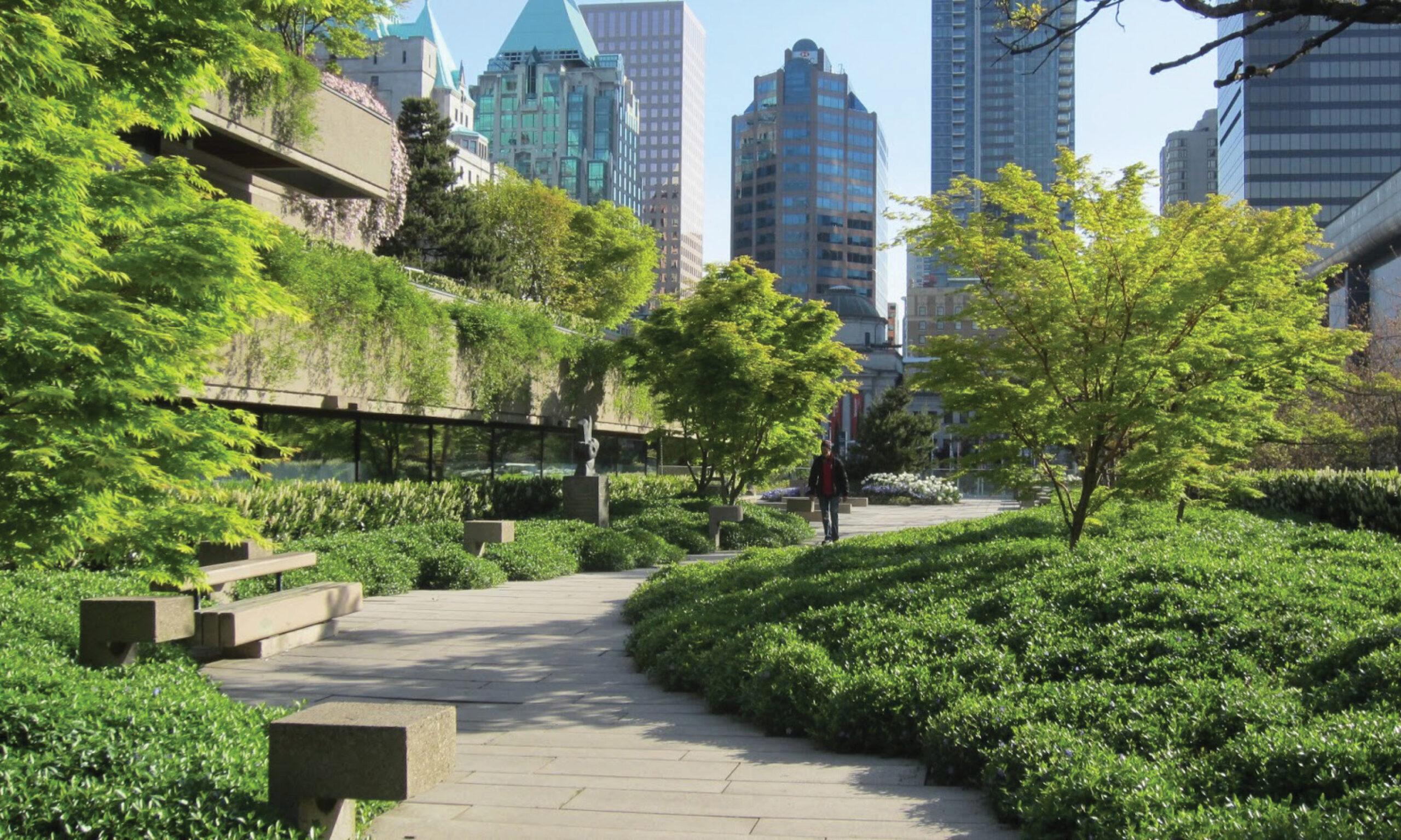 Community-Driven Efforts Transform Urban Green Spaces