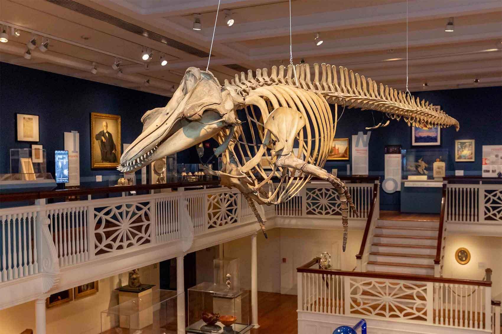 Peabody Essex Museum Unveils “Conjuring the Spirit World” Exhibit