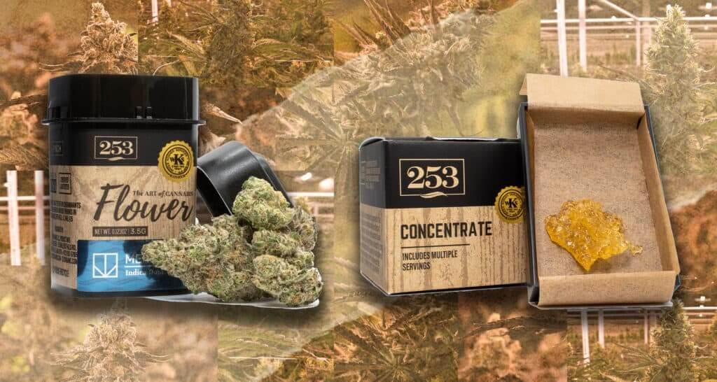 Massachusetts Recalls Marijuana Products Over Mold, Bacteria