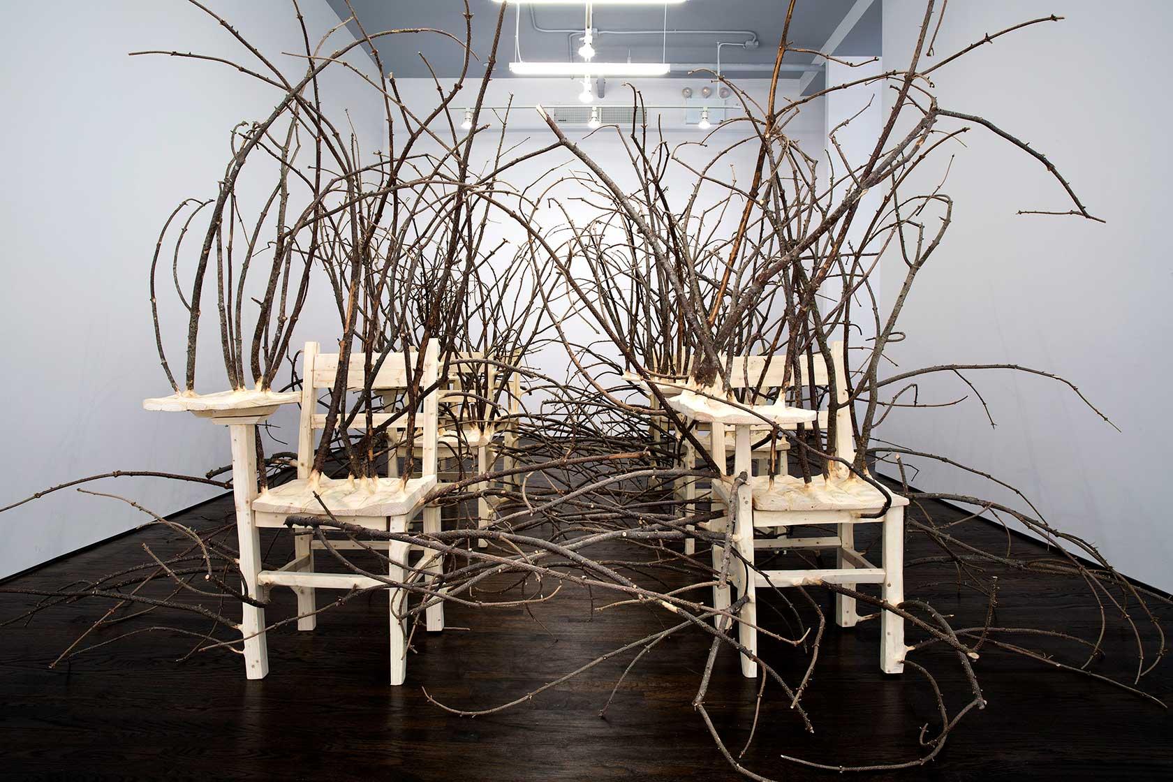 Rose Art Museum Presents Hugh Hayden’s Decade-Spanning “Home Work