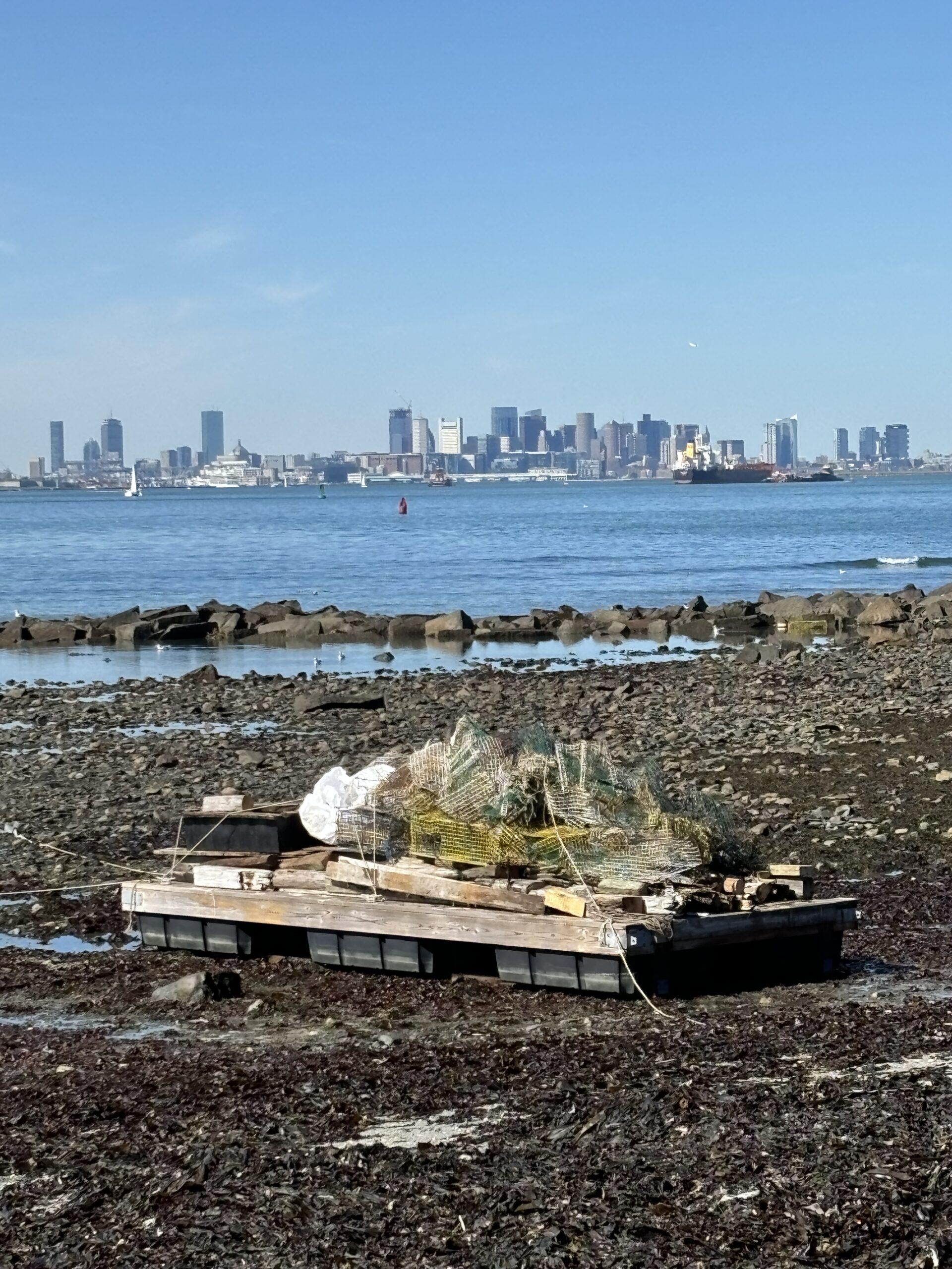 Boston Harbor Faces New Measures to Combat Pollution Threats