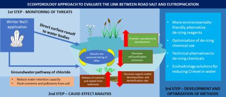 Road Salt’s Impact on Local Waterways and Ecosystems Revealed