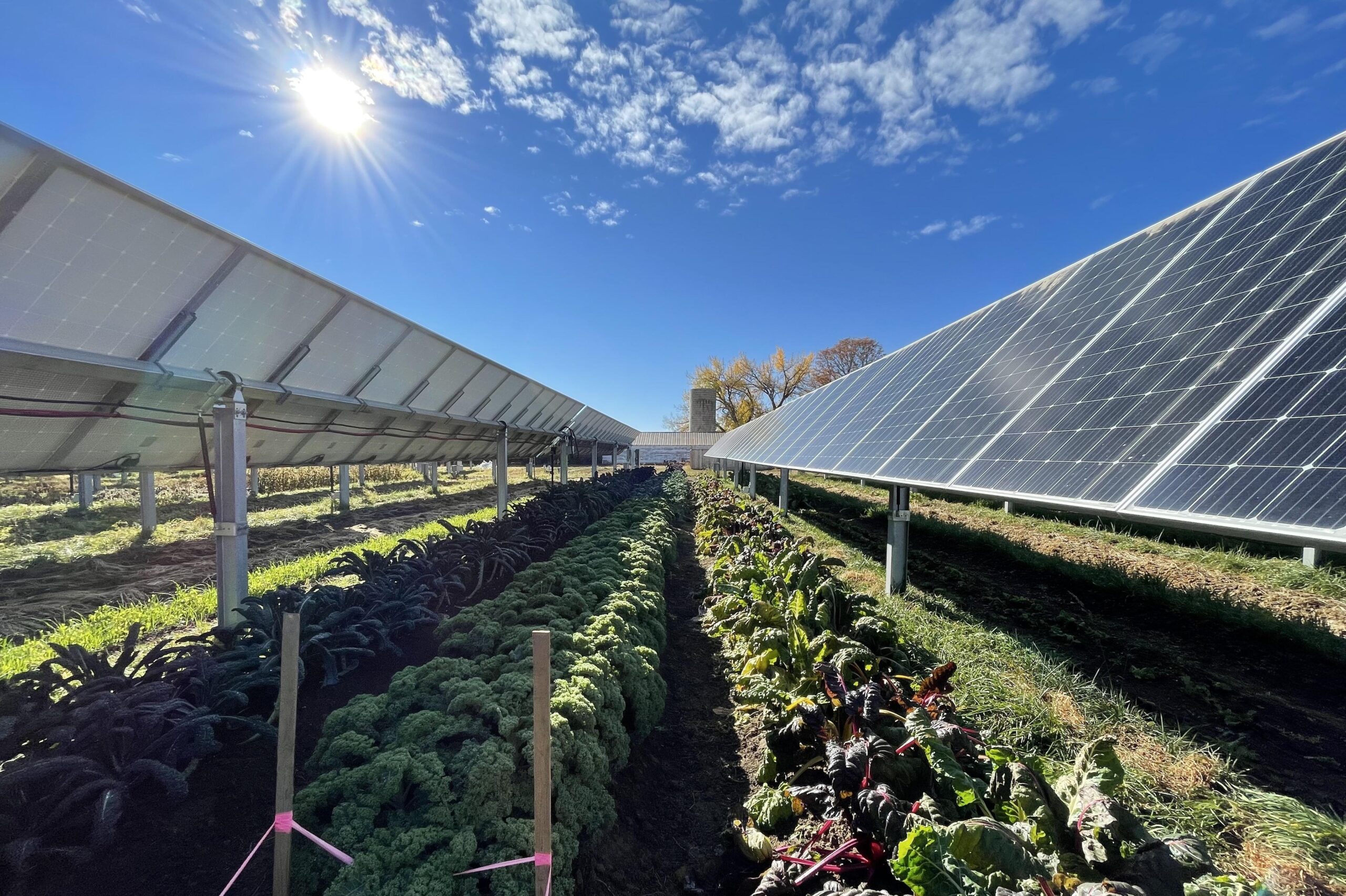 Solar Farms Transform Agricultural Land Use: Key Impacts