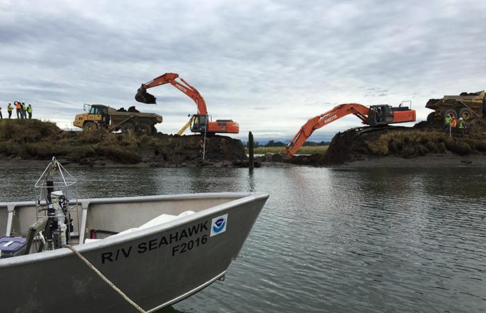 Efforts Intensify to Preserve Coastal Habitats and Salt Marshes
