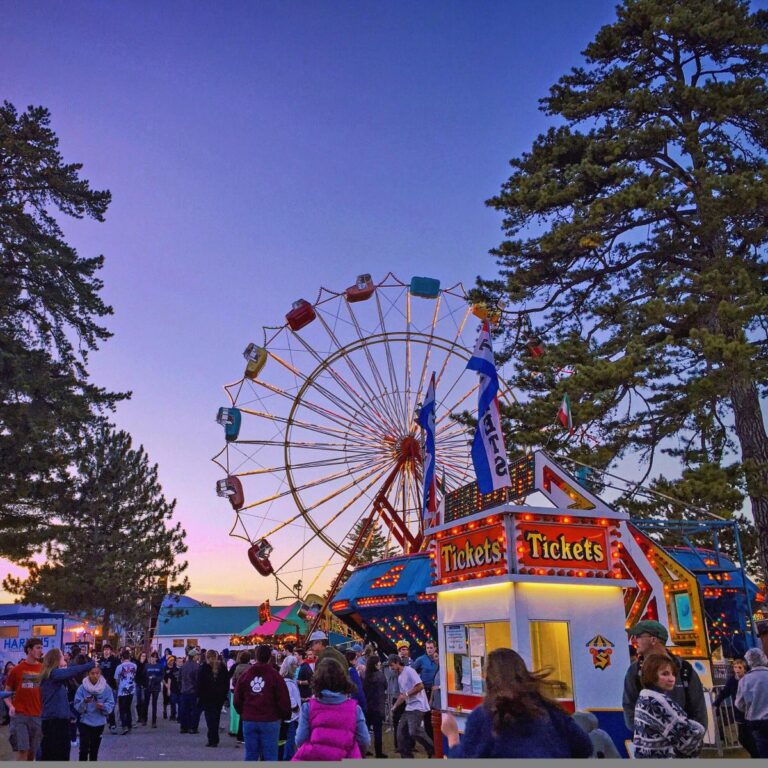 Upcoming Town Fairs and Agricultural Festivals Across State