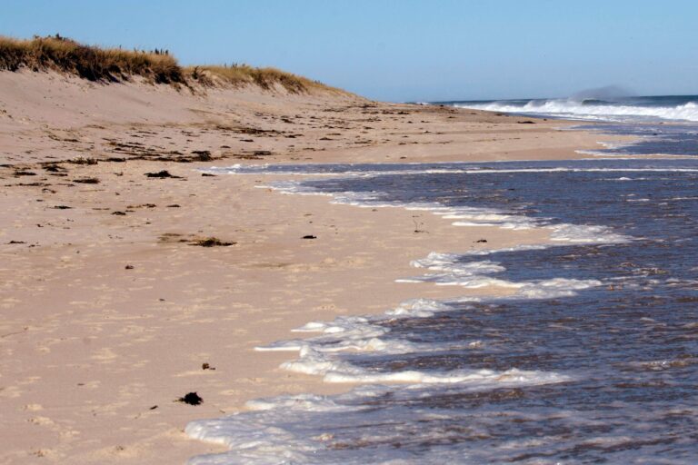 Massachusetts Unveils New Climate Resilience Strategy