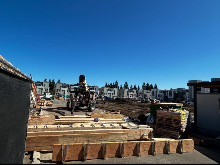 Balancing Growth and Preserving Neighborhood Character