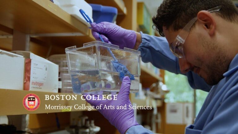 Boston College Researchers Urge Stricter Chemical Oversight