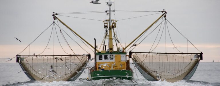 Commercial Fishing Industry Faces Growing Economic Challenges Commercial Fishing Industry Faces Growing Economic Challenges