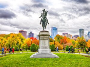 Massachusetts Public Garden Tours and Flower Shows Bloom