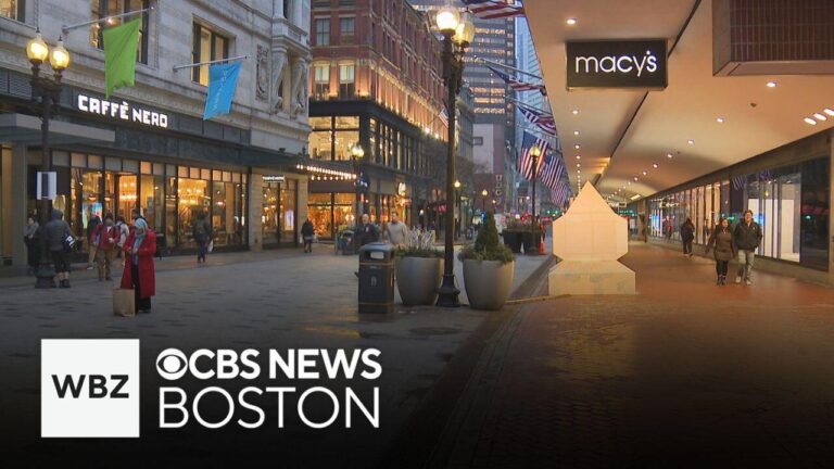 Downtown Crossing Crime Rate Falls Following Patrol Boost