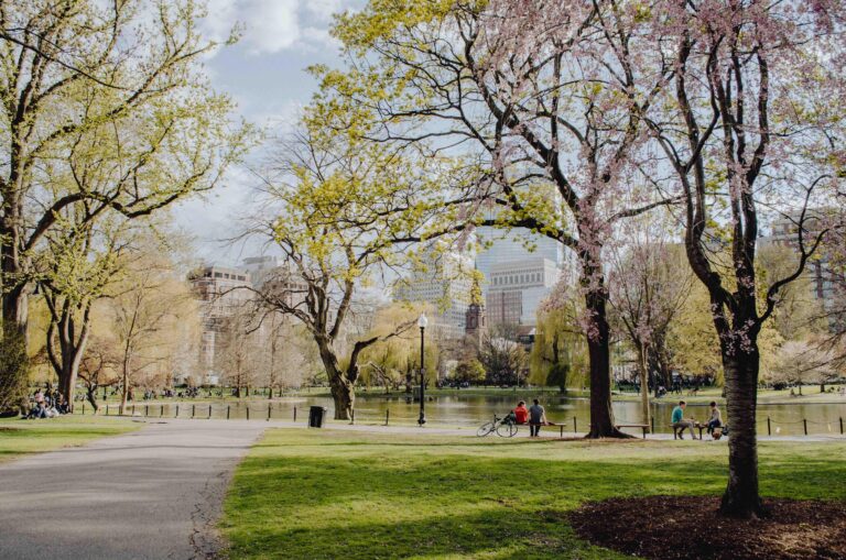 Boston Common: America’s Oldest Public Park Through Time