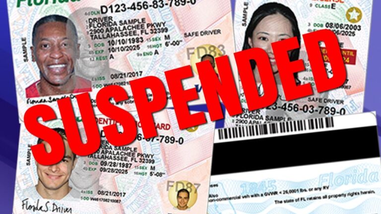 Debt-Based License Suspension Reform Gains Traction at City Hall