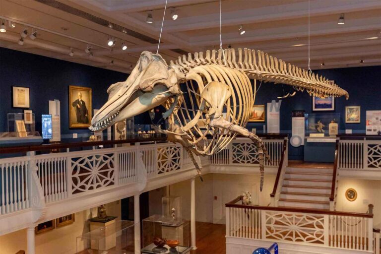 Peabody Essex Museum Unveils “Conjuring the Spirit World” Exhibit Peabody Essex Museum Unveils “Conjuring the Spirit World” Exhibit