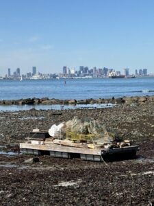 Boston Harbor Faces New Measures to Combat Pollution Threats