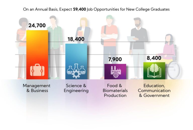 Local Job Market Outlook: Challenges and Opportunities Ahead