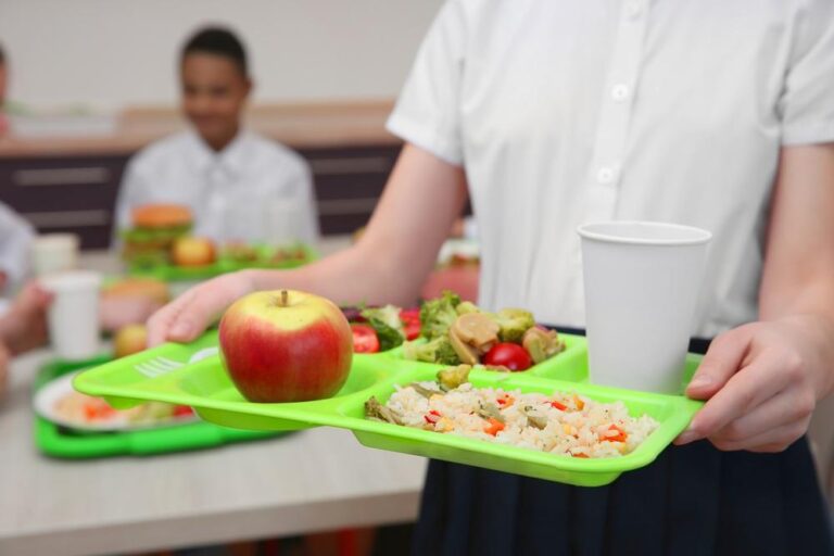 New Bill Proposes Free School Meals for All Students Statewide