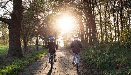 Debate Rages Over Bike Lanes’ Impact on Traffic Flow